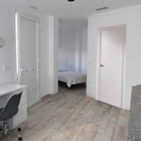 Estudio-individual_01